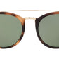 FERLANDINA HVGR Tortoise