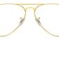 Aviator Optics RB6489 3086
