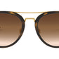 RB4285 tortoise and brown