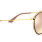 Round Double Bridge RB3647N gradient brown mirror pink