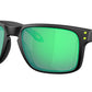 Holbrook OO9102 AI