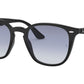 RB4258F 601/19 black