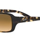 RB4068 tortoise