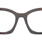 PR A05V 17N1O1 Tortoise