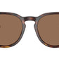 PH4221 613773 Brown Tortoise