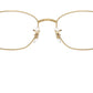 RB3749V Optics 2500