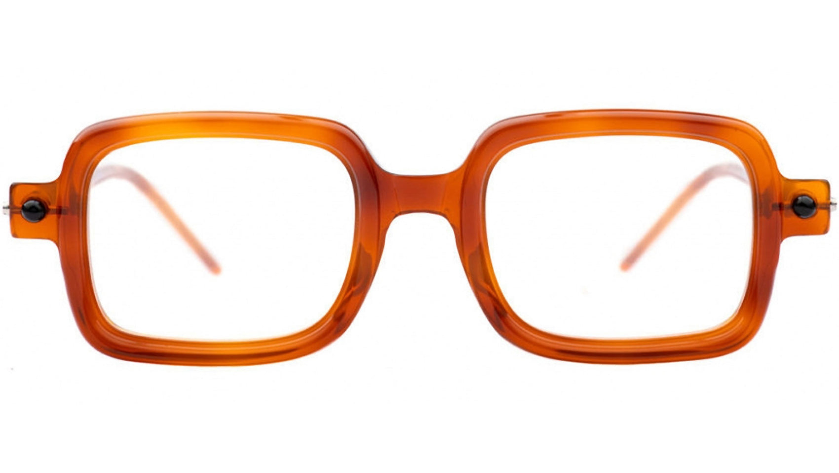 P2 TR Light Tortoise