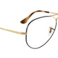 Aviator Optics RB6489 3177