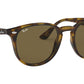 RB4259 710/73 light havana
