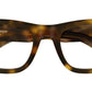 SL 698 003 Shiny Tortoise