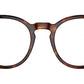 PH4218 613771 Brown Tortoise