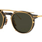 G. Ponti-1 OV5460T tortoise