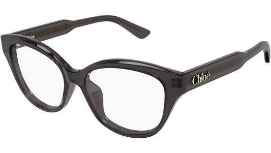 CH0381OL
