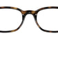 RY1599 3685 Tortoise