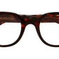 1392 Optical 02 Dark Turtle