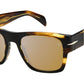 DB 7000/S BOLD KVI Striped Brown