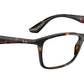 RB7047 Optics 2012