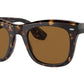Mr. Brunello OV5497SU tortoise