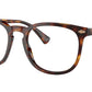 PH4214 613773 Brown Tortoise