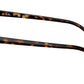 RB2210V Optics 2012