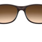 Andy RB4202 607313 matte brown on brown