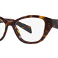 PR 21ZV 19J1O1 tortoise