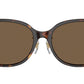BE4429D 300273 Dark Havana
