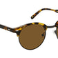 Aidim Sun Classic Havana Gunmetal