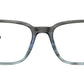 RB5421 Optics 8254