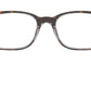 RB5286 top havana on transparent