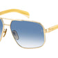 DB 7102/S 06S 08 Striped Beige Gold