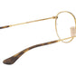 RB3447V Optics 2945