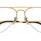 Aviator Gaze Optics RB6589 2500