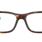 PH2273 6137 Brown Tortoise