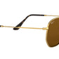 Hexagonal Flat Lenses RB3548N gold brown