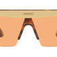 VE2254 100274 tortoise