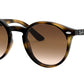 RJ9064S For Kids tortoise