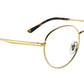RB3681V Optics 2500