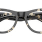 RB5510 Optics 8117