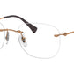 RB8748 Optics 1131