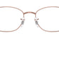 RB3749V Optics 2943