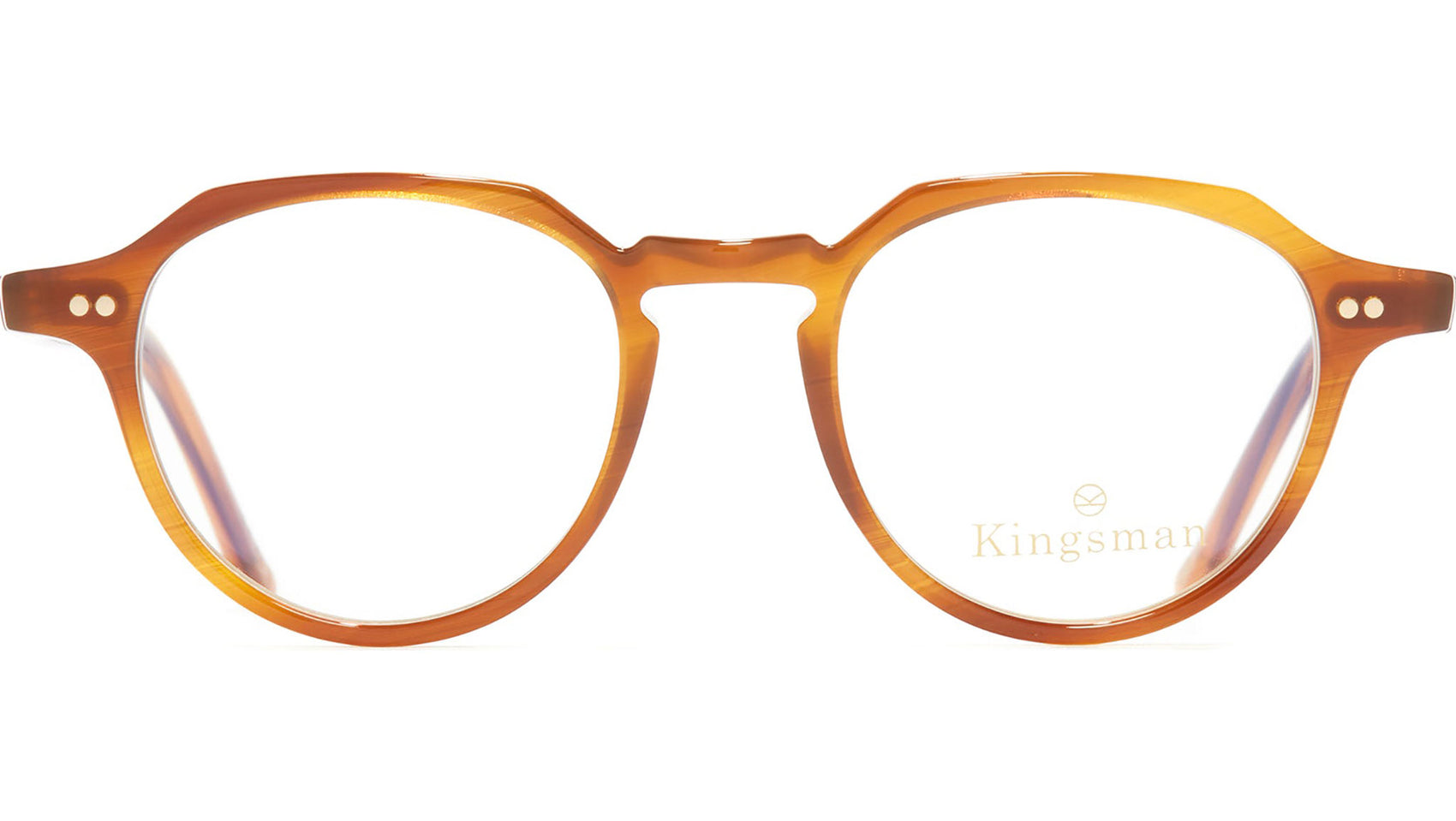 1313 Optical 03