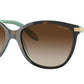 RA5160 601/13 Havana On Acquamarine