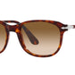 PO1935S 24/51 tortoise
