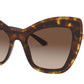 DG 4364 502/13 tortoise