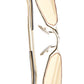 Z25 Sun LG Light Gold