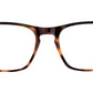 ROCHESTER HVBL Tortoise