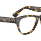 Laramie Optics RB2201V 8116