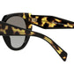 PR 14WS black and medium tortoise