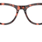 RB5510 Optics 8118
